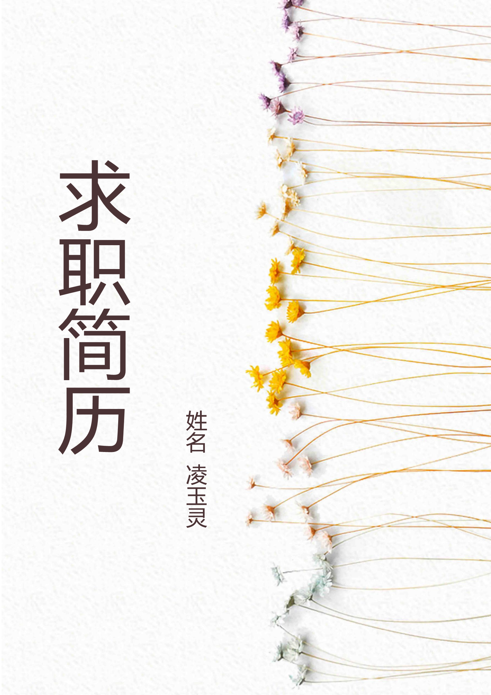 简单明了四页朴素求职简历模板1