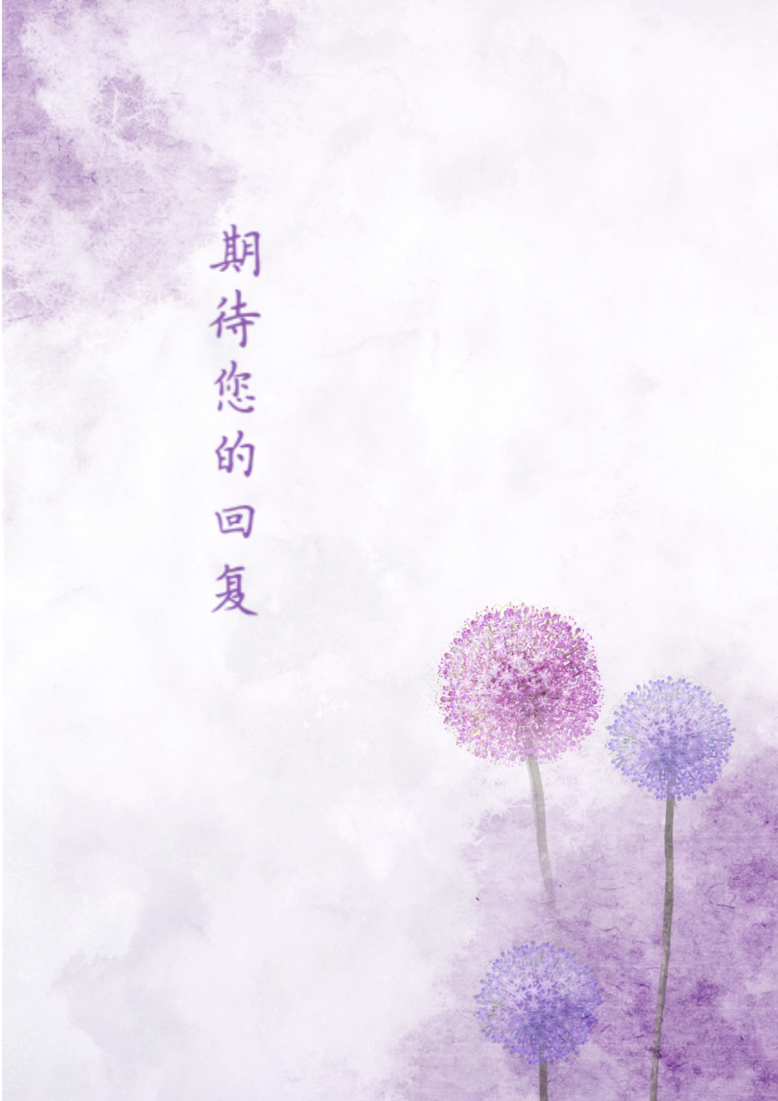 紫色韵味漂亮整洁的四页简历模板4