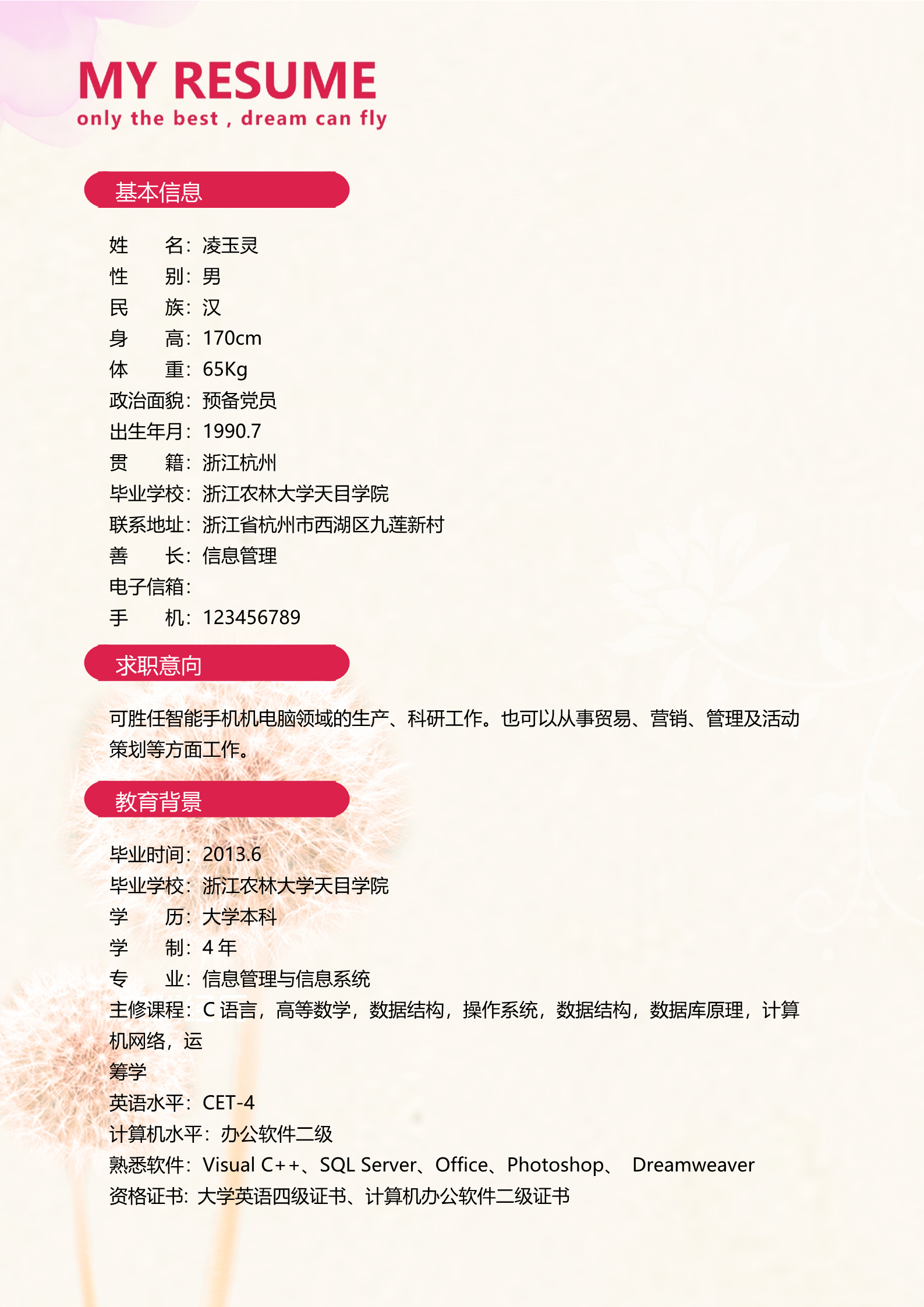 五彩缤纷多彩个性简历模板2